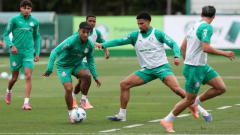 Palmeiras desembarca em Quito e treinará no CT da seleção do Equador antes de pegar a LDU