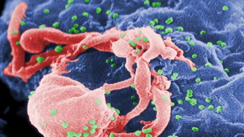 Anvisa aprova Lenacapavir: injeção semestral previne HIV com até 100% de eficácia