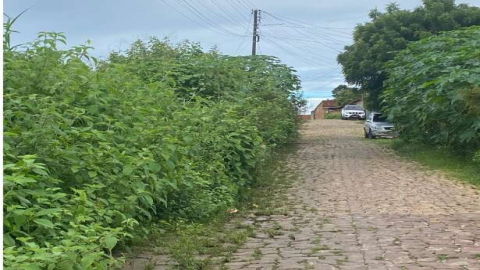 Motorista de caminhão grava vídeo de ruas fechadas pelo mato e critica a gestão A. Reis
