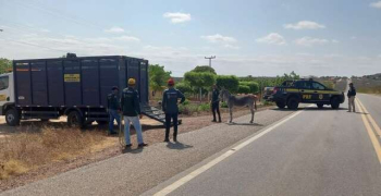 PRF inicia 3ª Fase da Operação Armentum no norte do Piauí