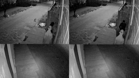 Criminosos tentam arrombar porta de verdurão e desligam a energia