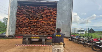 PRF apreende mais de 69 m³ de madeira ilegal em Teresina 