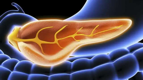Gastroenterologista destaca primeiros sinais de comprometimento do pâncreas