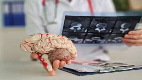  Estudo aponta proteína como alvo promissor contra Alzheimer