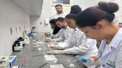 Projeto da UFPI investiga segurança de plantas medicinais utilizadas no Piauí