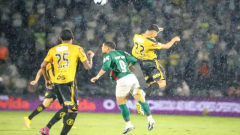 Novorizontino 1 x 2 Palmeiras - Verdão conquista 27º título do Paulistão