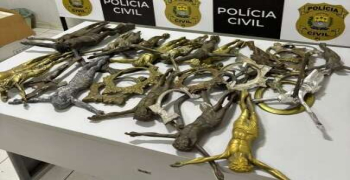 Preso suspeito de furtar peças metálicas de cemitério em Teresina