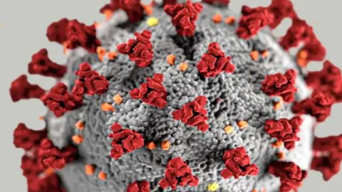 Covid-19: o que se sabe sobre a nova variante BA.3.2 detectada em mais de 20 países