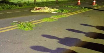 Homem morre ao colidir moto em cachorro na PI 112