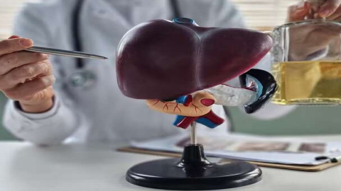 Beber muito álcool de vez em quando pode triplicar o risco de danos ao fígado, aponta estudo