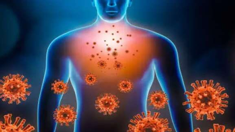 Alguns vírus podem permanecer no corpo para sempre, revela estudo