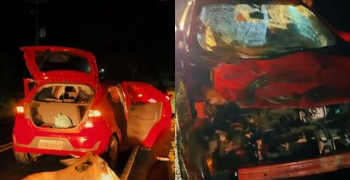 Veículo fica destruído após colidir em animais em pista