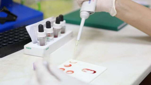 Exame de sangue pode detectar sinais de Alzheimer anos antes dos sintomas, diz estudo
