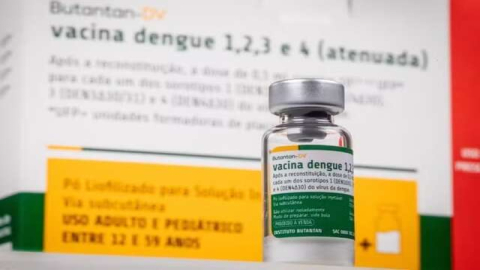 Vacina da dengue do Butantan suspensa: o que fazer se você tomou o imunizante