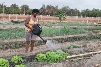 agricultorapiauiense