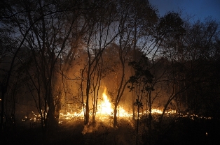 ambiental