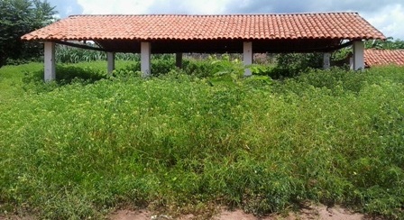 casadafarinharb