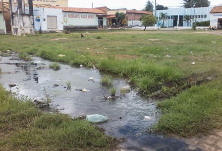 frentecamara