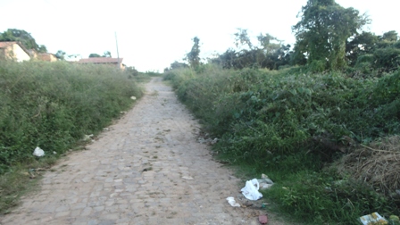 vilaleao052014