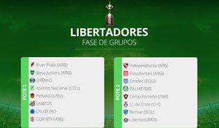 card potes libertadores 2