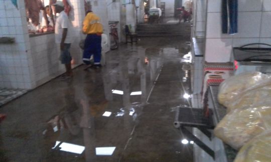 mercadoflorianop