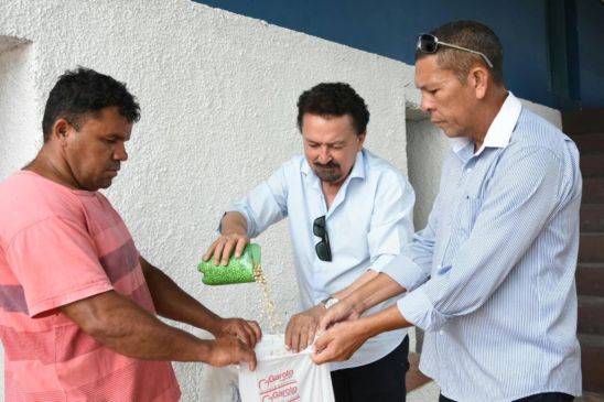 feijao