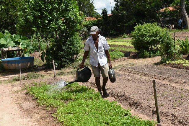 agricul
