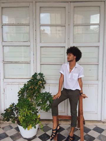 plantas1