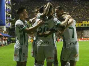 palmeiras