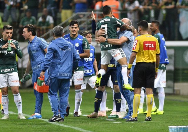 palmeiras
