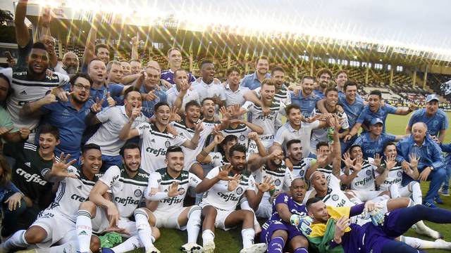 palmeiras
