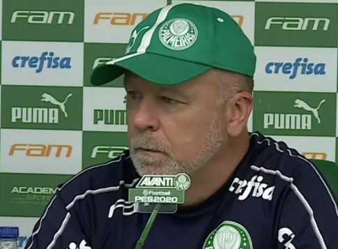 palmeiras