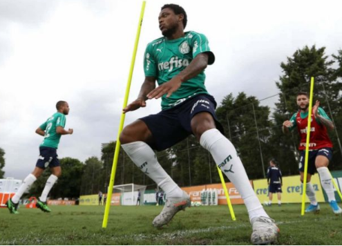 palmeiras