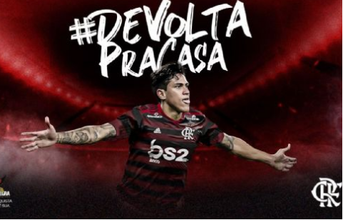 pedrofla