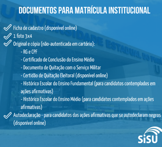 sisuu