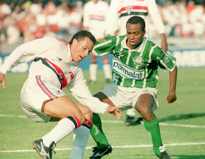 palmeiras