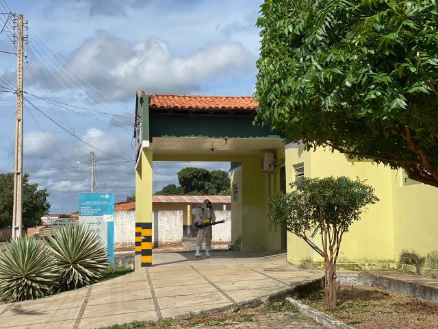 pavussu3