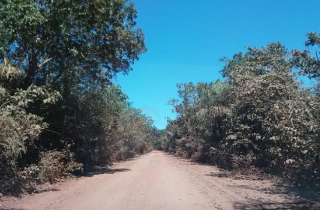 estrada