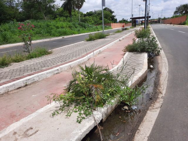 mato0