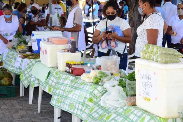 feira