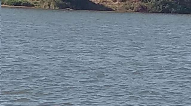 aguas