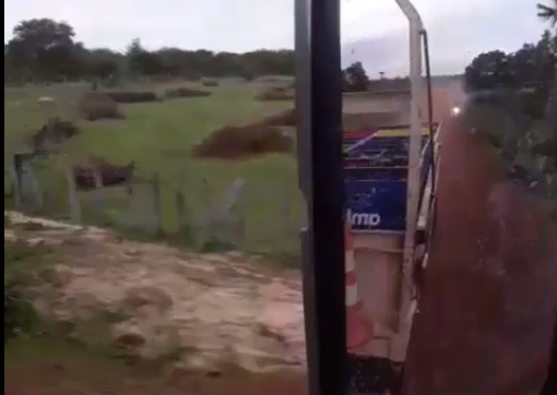 crro