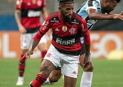 rondinei