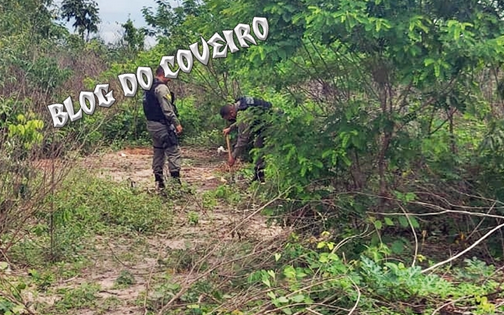dinheirenterrado