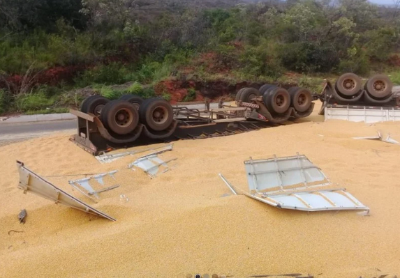 caminhaomilho