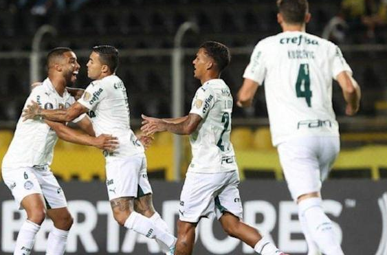 palmeiras