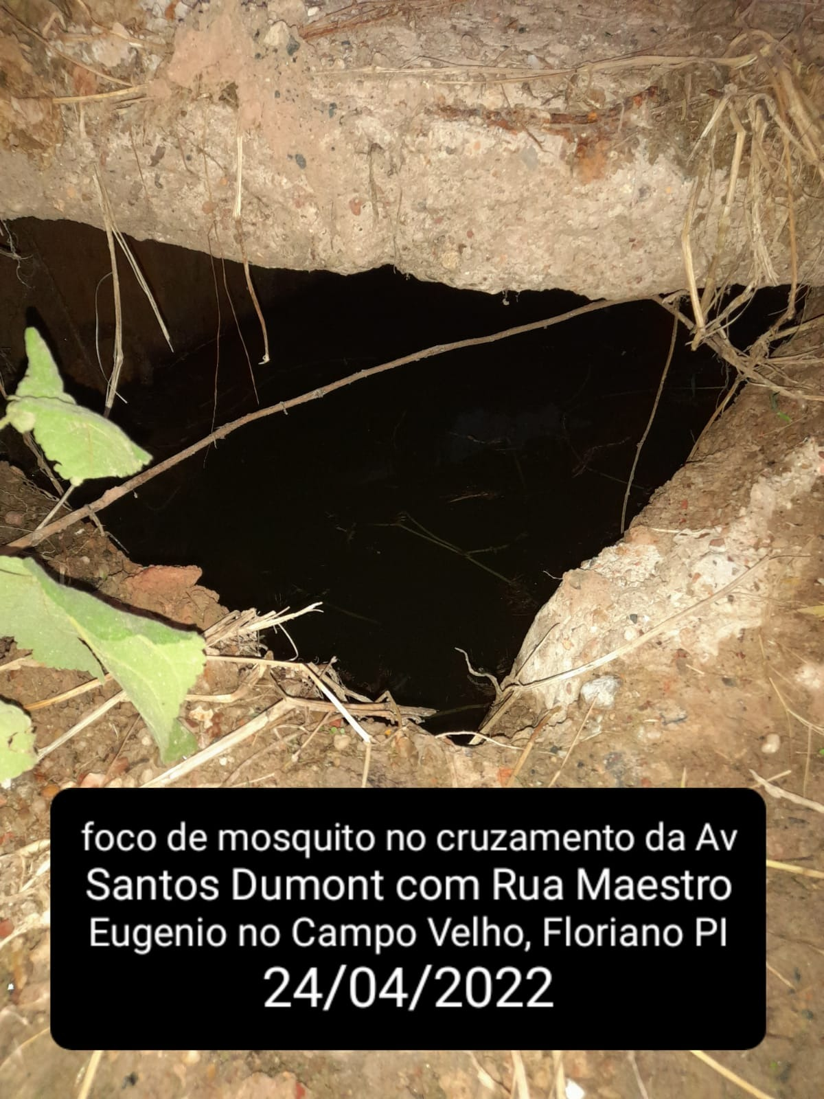 mato06