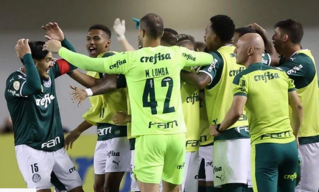 palmeiras