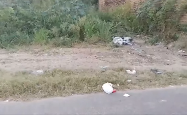terreno900