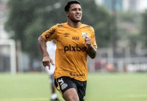 marcosleonardo